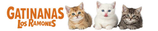 gatinanaslosramones.com